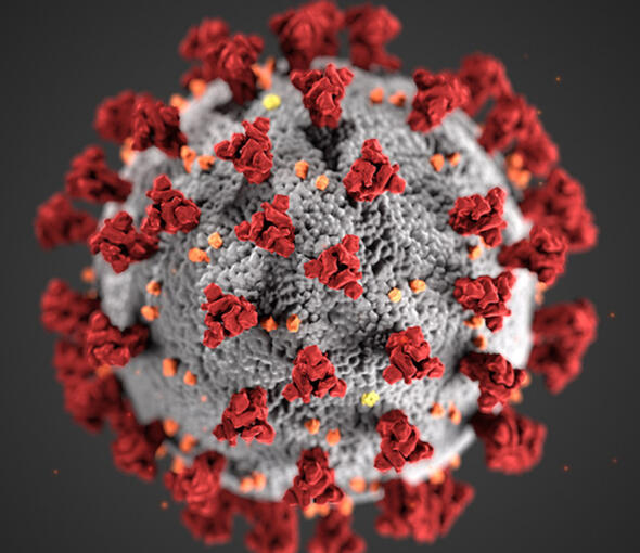 Data Exploration of COVID-19 dataset in SQL Server